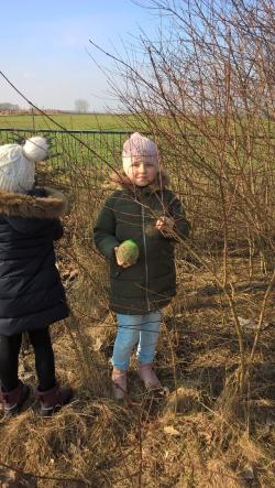 Zespół&#x20;Szkół&#x20;Publicznych&#x20;w&#x20;Mostach