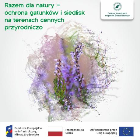 Razem dla natury – ochrona gatunków i siedlisk na terenach cennych przyrodniczo