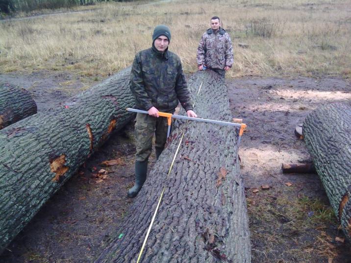 fot. Krzysztof Haberski